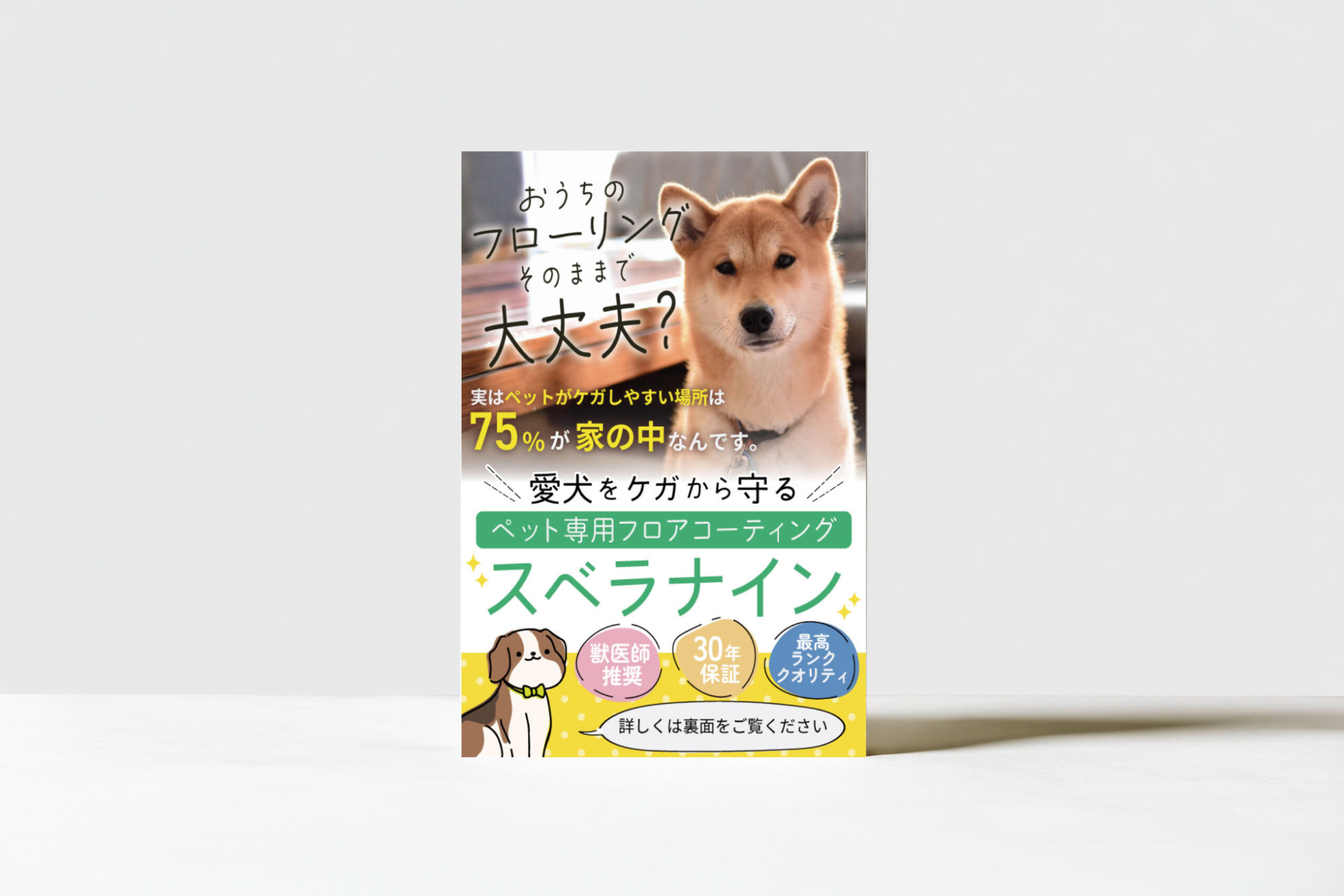 ペット専用フロアコーティング用チラシ