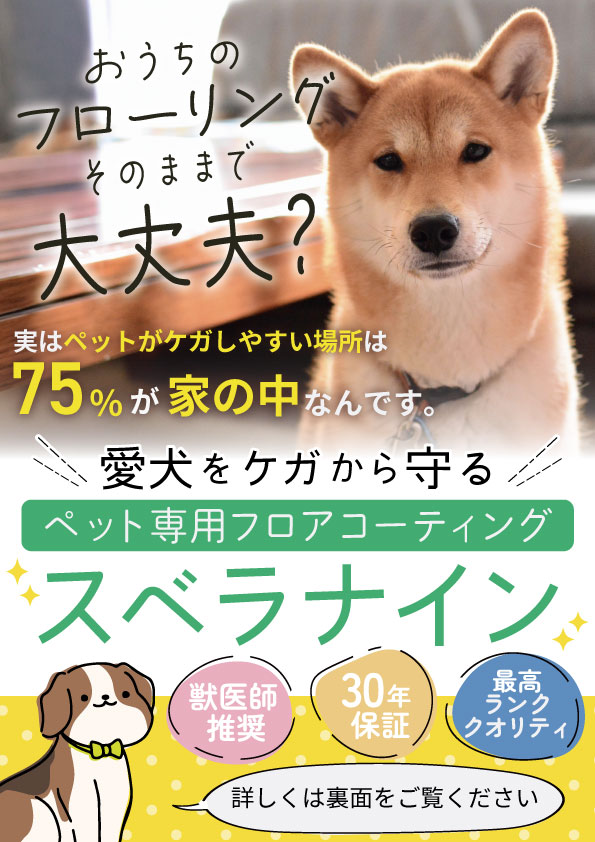 すべらんワン様チラシ2