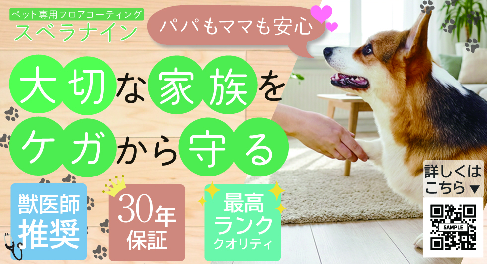 すべらんワン様広告3